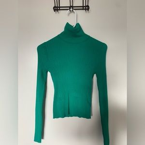 Zara Ribbed Knit Turtleneck